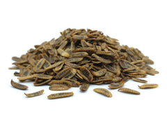 Soldatenfliegenlarven getrocknet Premium 0,2 - 25 KG