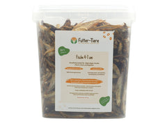 Futterfische 4–7 cm getrocknet 0,8 kg im 5,5 Liter Eimer