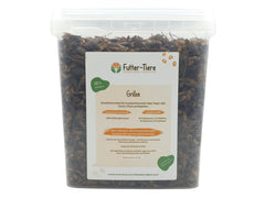 Grillen getrocknet im Eimer