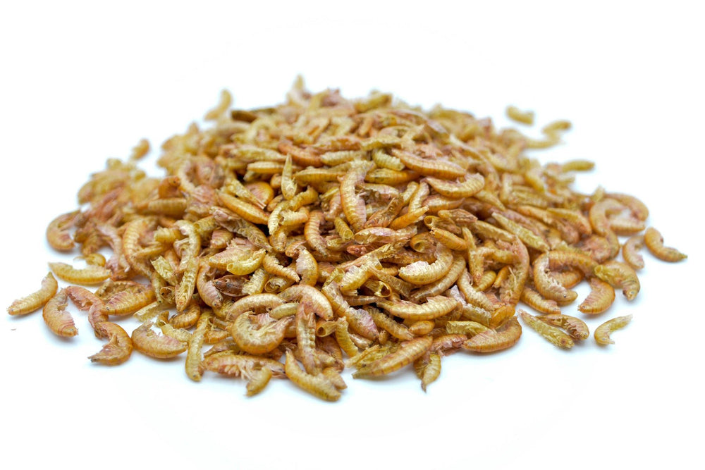 1 KG Bachflohkrebse - Gammarus getrocknet - futter - tiere.de