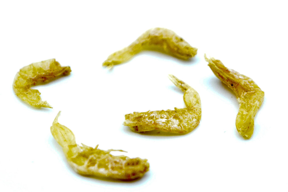 1 KG Garnelen 1 - 2cm getrocknet (Shrimps) - futter - tiere.de