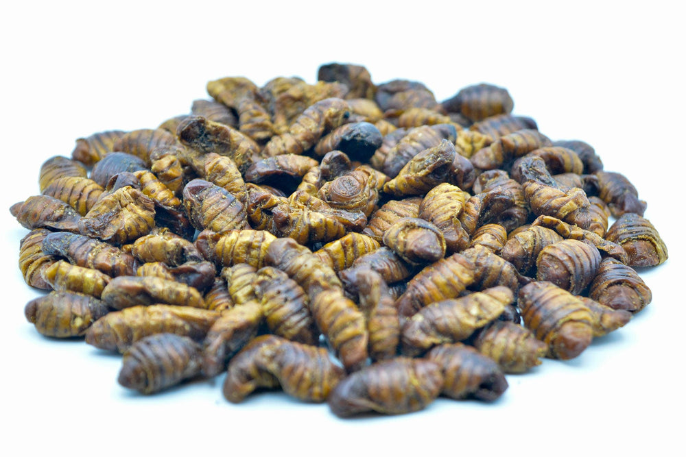 1 KG Seidenraupen getrocknet - futter - tiere.de