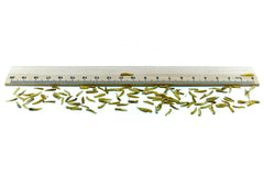 2 KG Fliegenlarven (Maden) getrocknet - futter - tiere.de