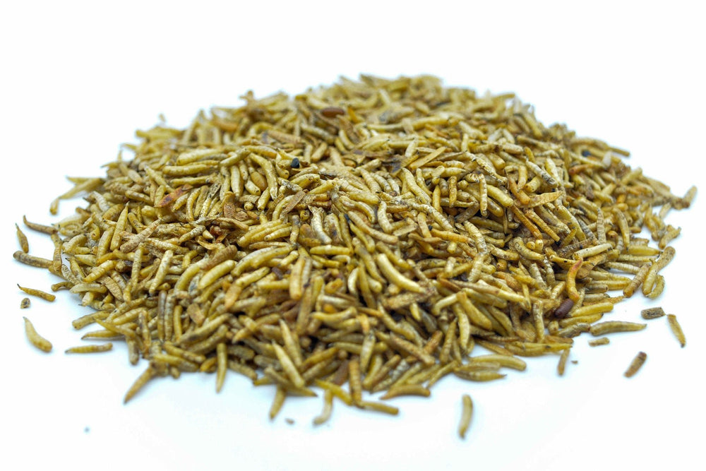 2 KG Fliegenlarven (Maden) getrocknet - futter - tiere.de