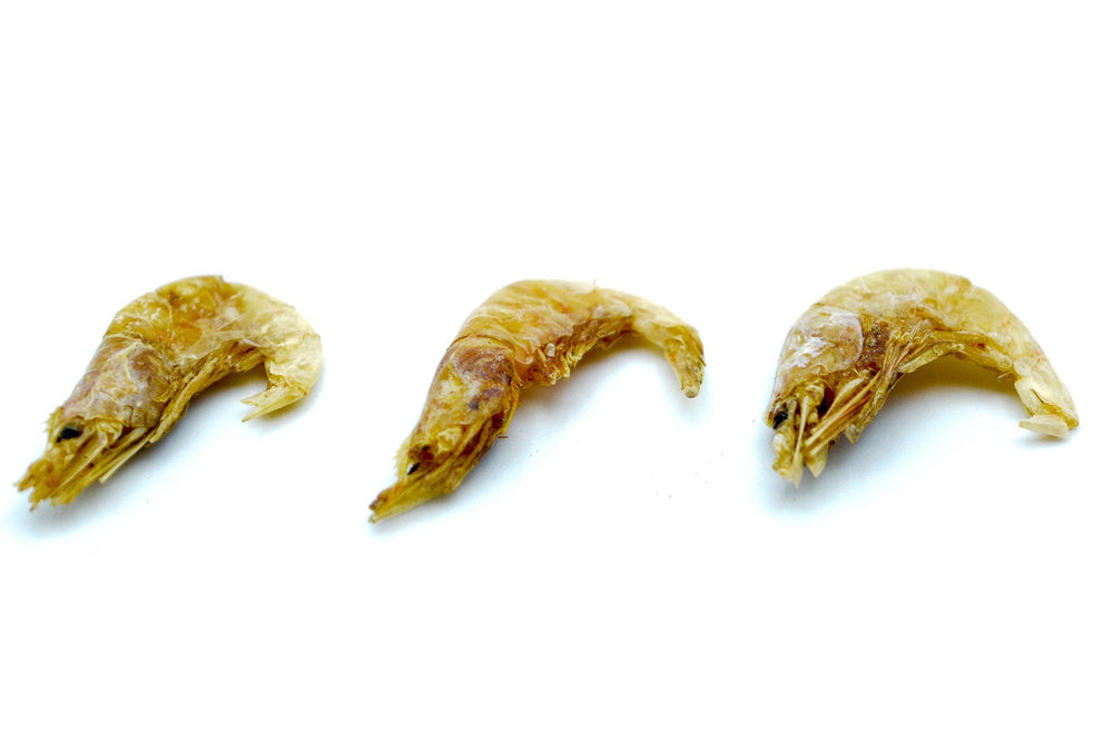 5 KG Garnelen 2 - 4 cm getrocknet (Shrimps) - futter - tiere.de
