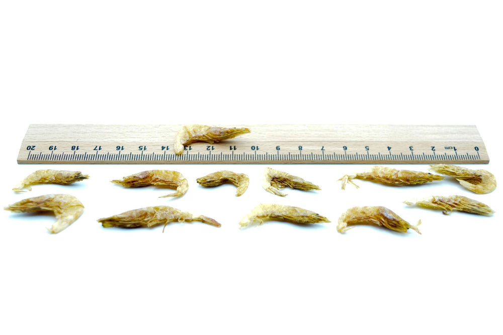 5 KG Garnelen 2 - 4 cm getrocknet (Shrimps) - futter - tiere.de