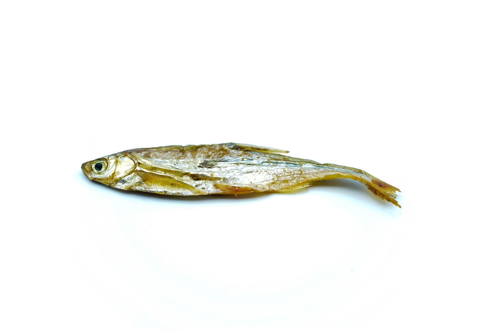 Fische Groß getrocknet 0,2 - 20 KG - futter - tiere.de