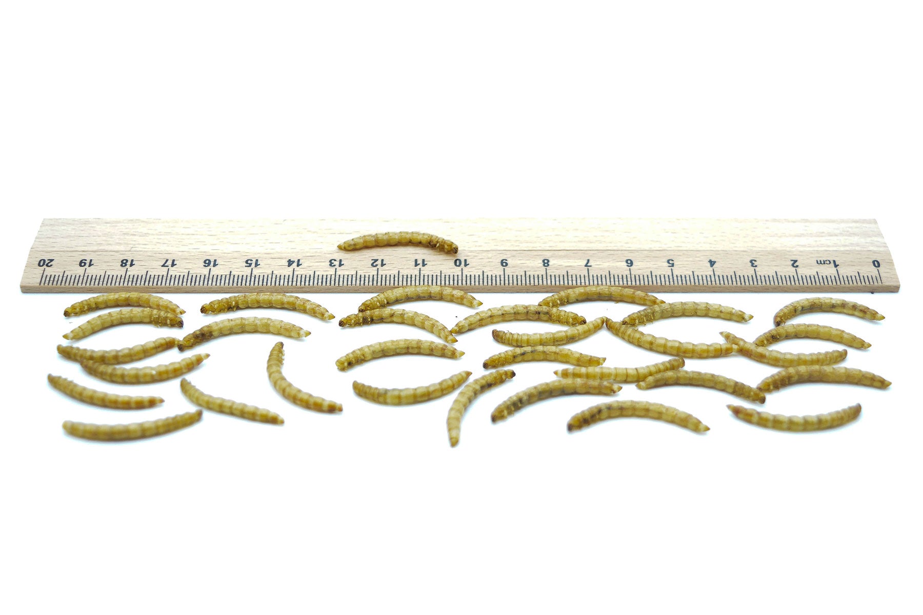 Mehlwürmer getrocknet 0,2 - 20 kg