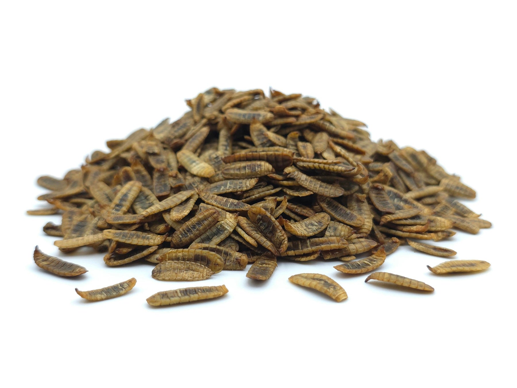 2 KG Soldatenfliegenlarven getrocknet Premium