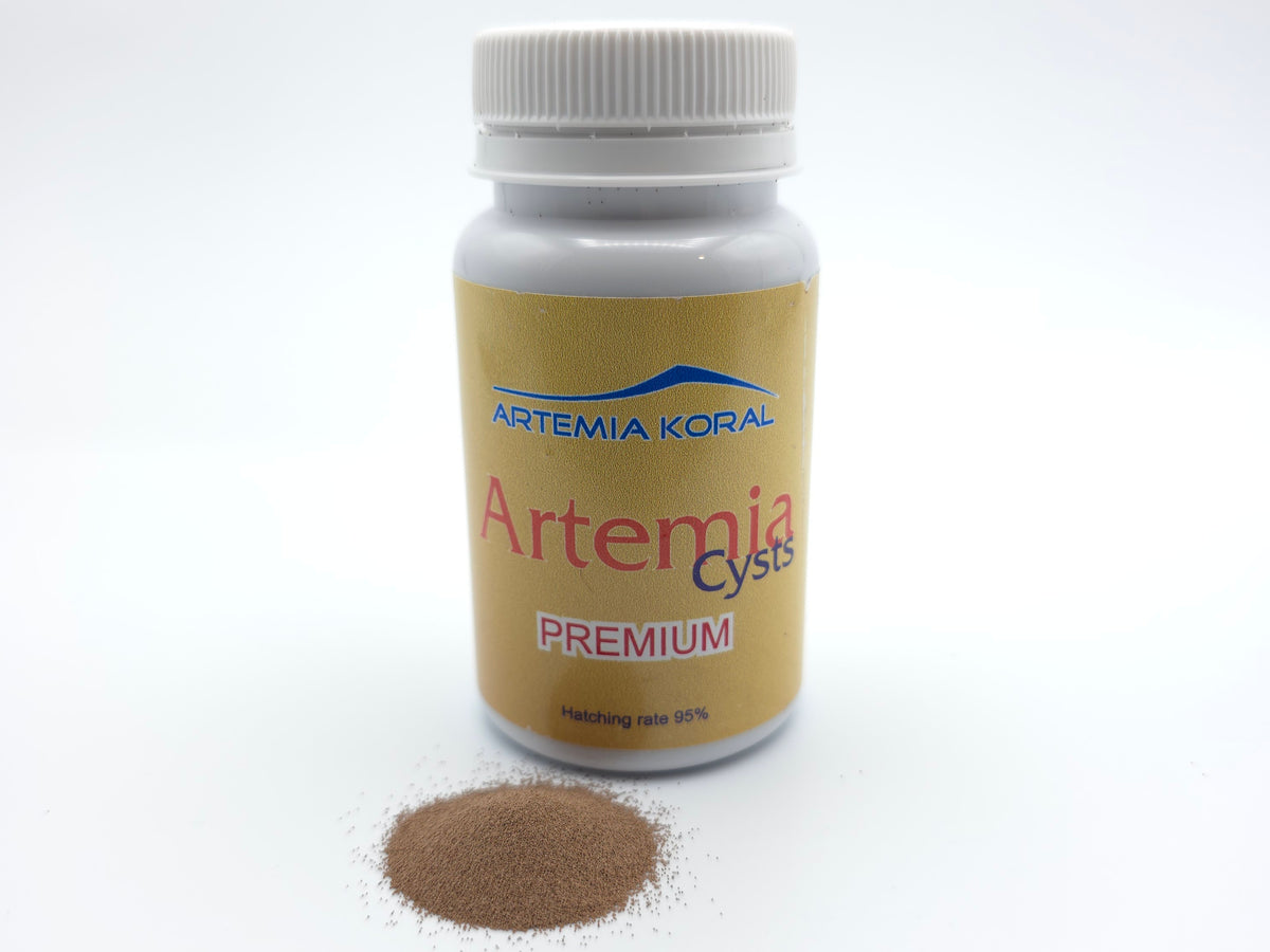 Artemia Eier mit 95 Prozent Schlupfrate in praktischer 50 g Dose