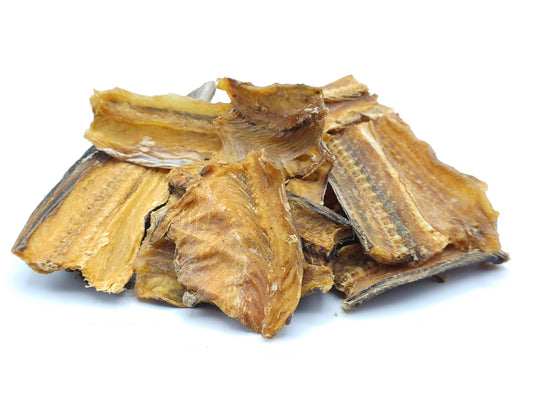 Aal getrocknet 0,2 - 5 KG - futter - tiere.de