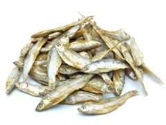 Getrocknete Futterfische 4–7 cm als proteinreiches Reptilienfutter