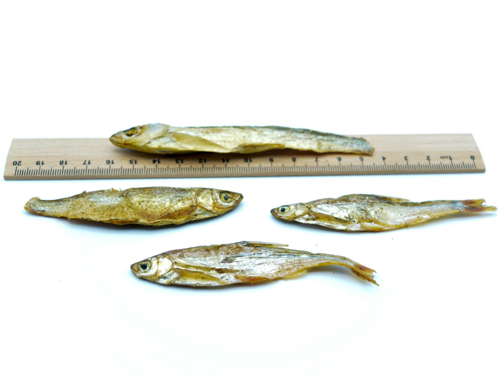 Futterfische 4–7 cm getrocknet als Naturfutter für Wasserschildkröten