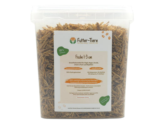 Futterfische 1–3 cm getrocknet 0,8 kg im 5,5 Liter Eimer