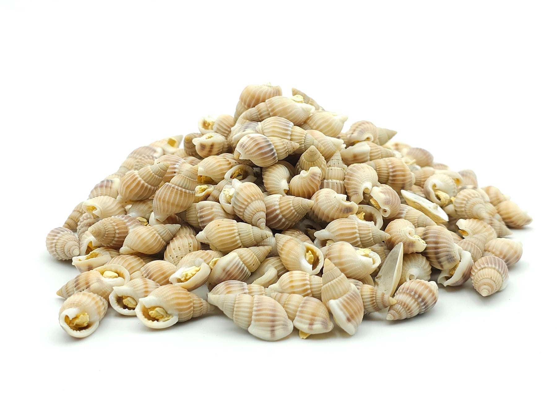 Futterschnecken 0,1 - 5 KG - futter - tiere.de