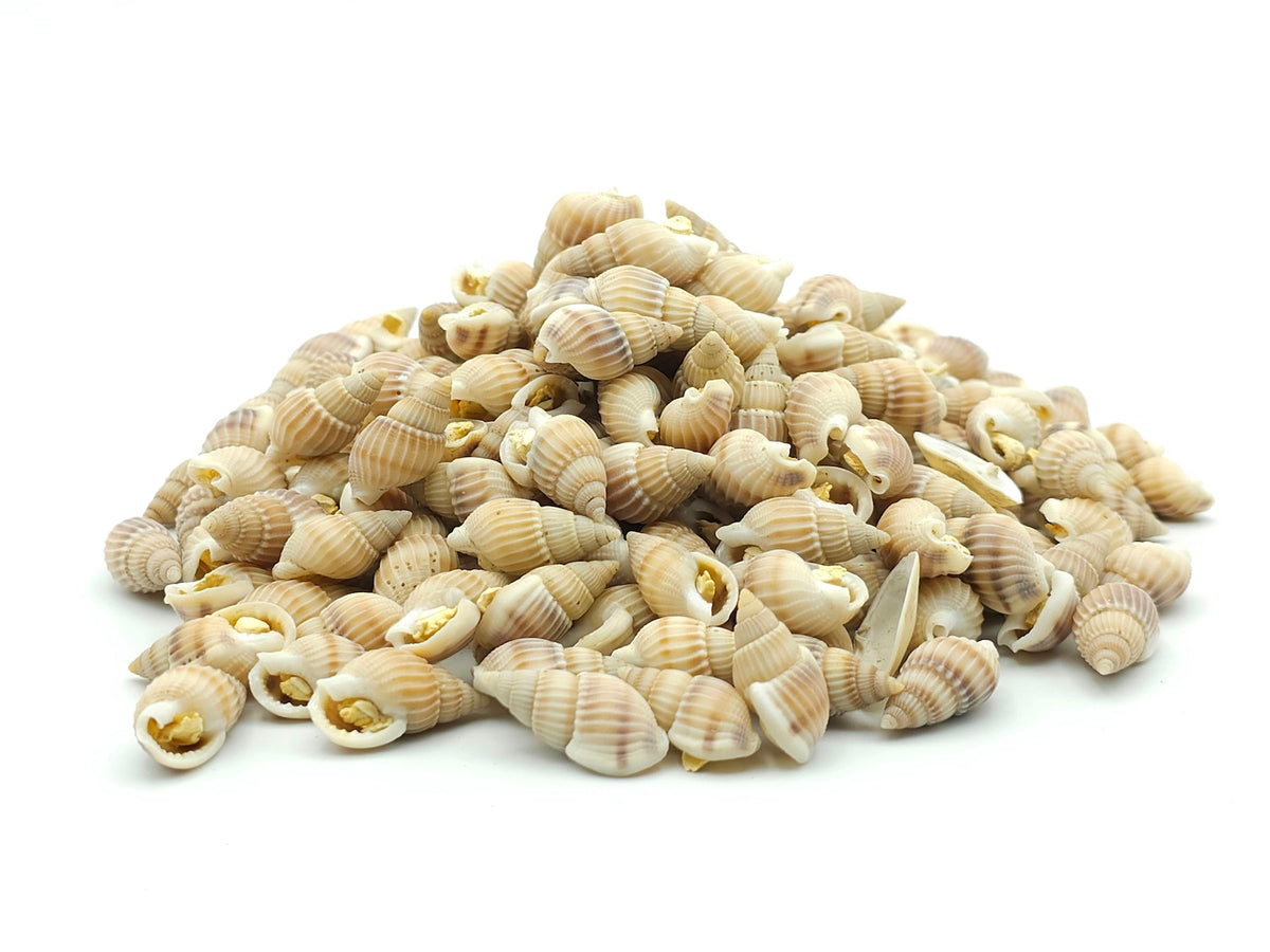 Futterschnecken 0,1 - 5 KG - futter - tiere.de