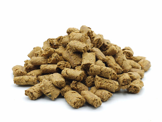 Hundesnack Fisch 0,2 - 5 KG - futter - tiere.de