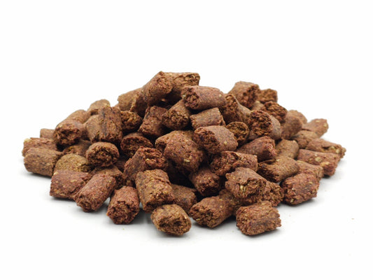 Hundesnack Insekten 0,2 - 5 KG - futter - tiere.de