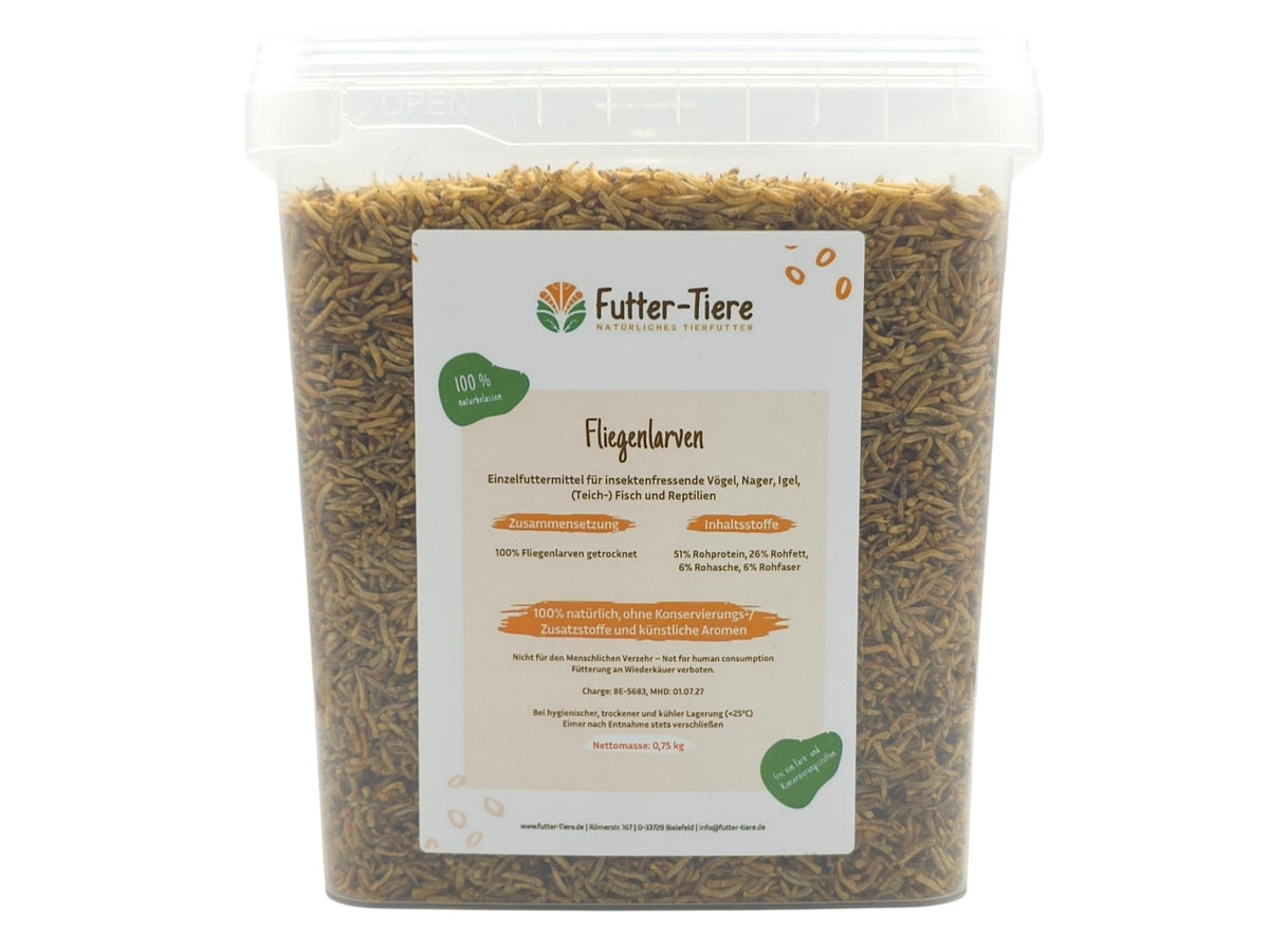 Fliegenlarven getrocknet im Eimer