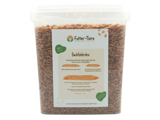 Bachflohkebse getrocknet im Eimer