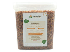 Bachflohkebse getrocknet im Eimer