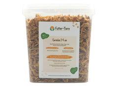 Garnelen 2-4 cm getrocknet im Eimer