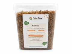 Mehlwürmer getrocknet im Eimer