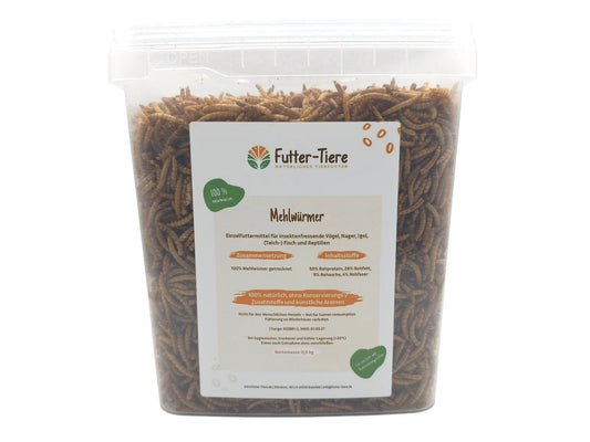 Mehlwürmer getrocknet im Eimer