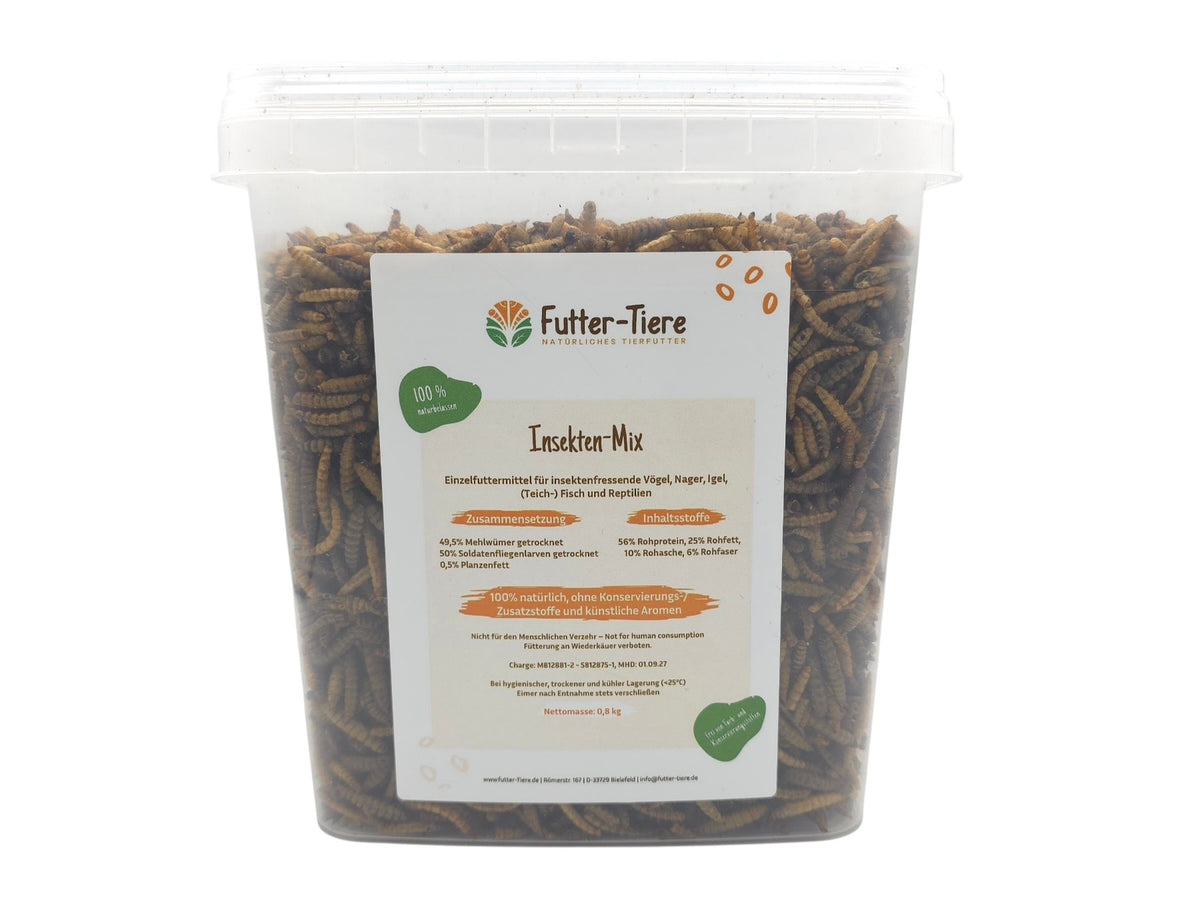 Insekten-Mix getrocknet im Eimer