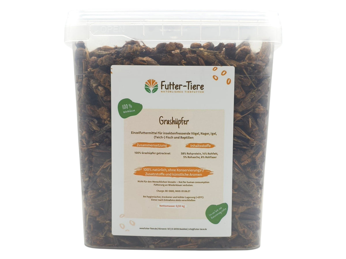 Grashüpfer getrocknet im Eimer