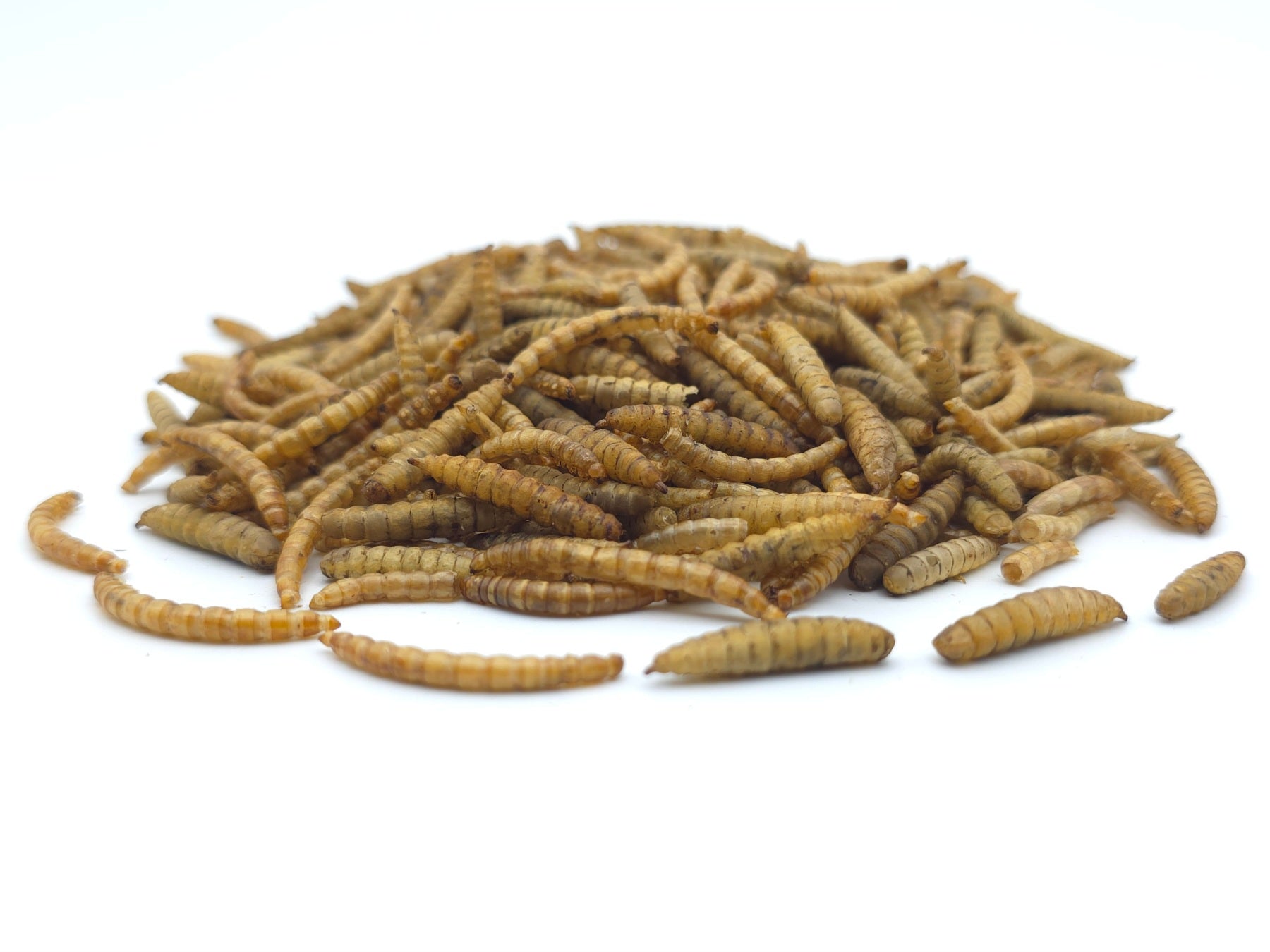 Insekten-Mix getrocknet - 0,2 bis 20kg