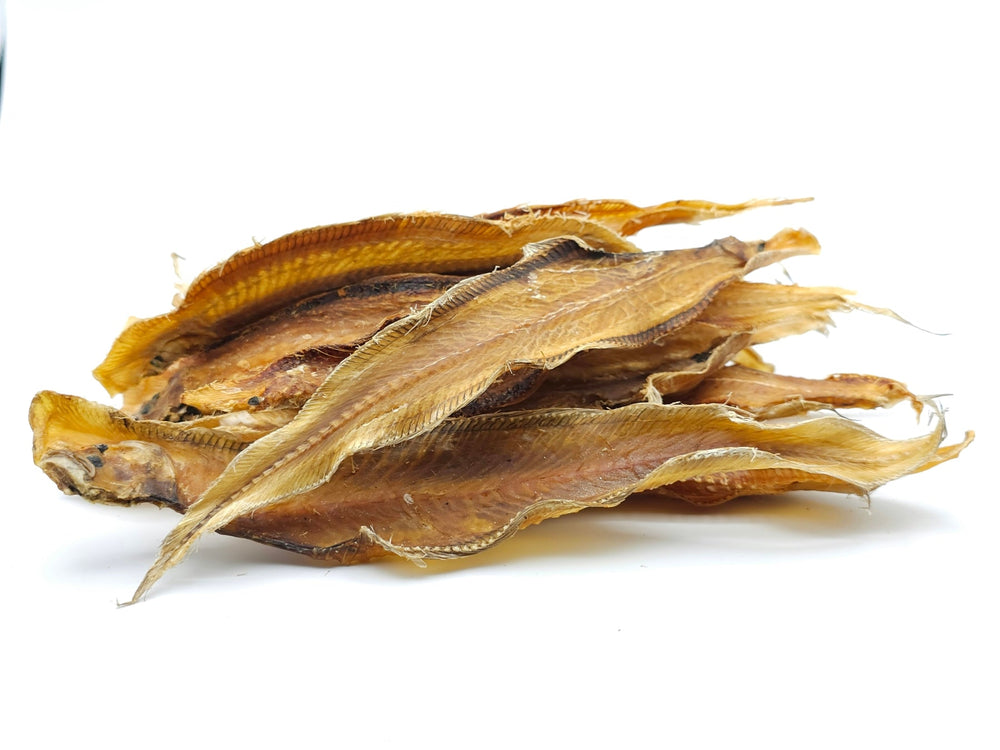 Seezunge Filet getrocknet 0,2 - 5 KG - futter - tiere.de