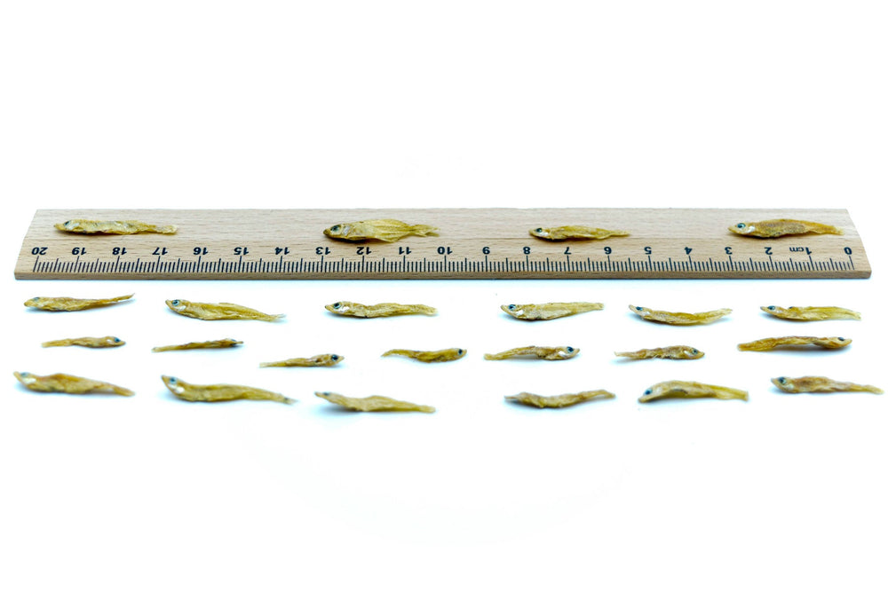 1 KG Fische 1 - 3 cm getrocknet - futter - tiere.de