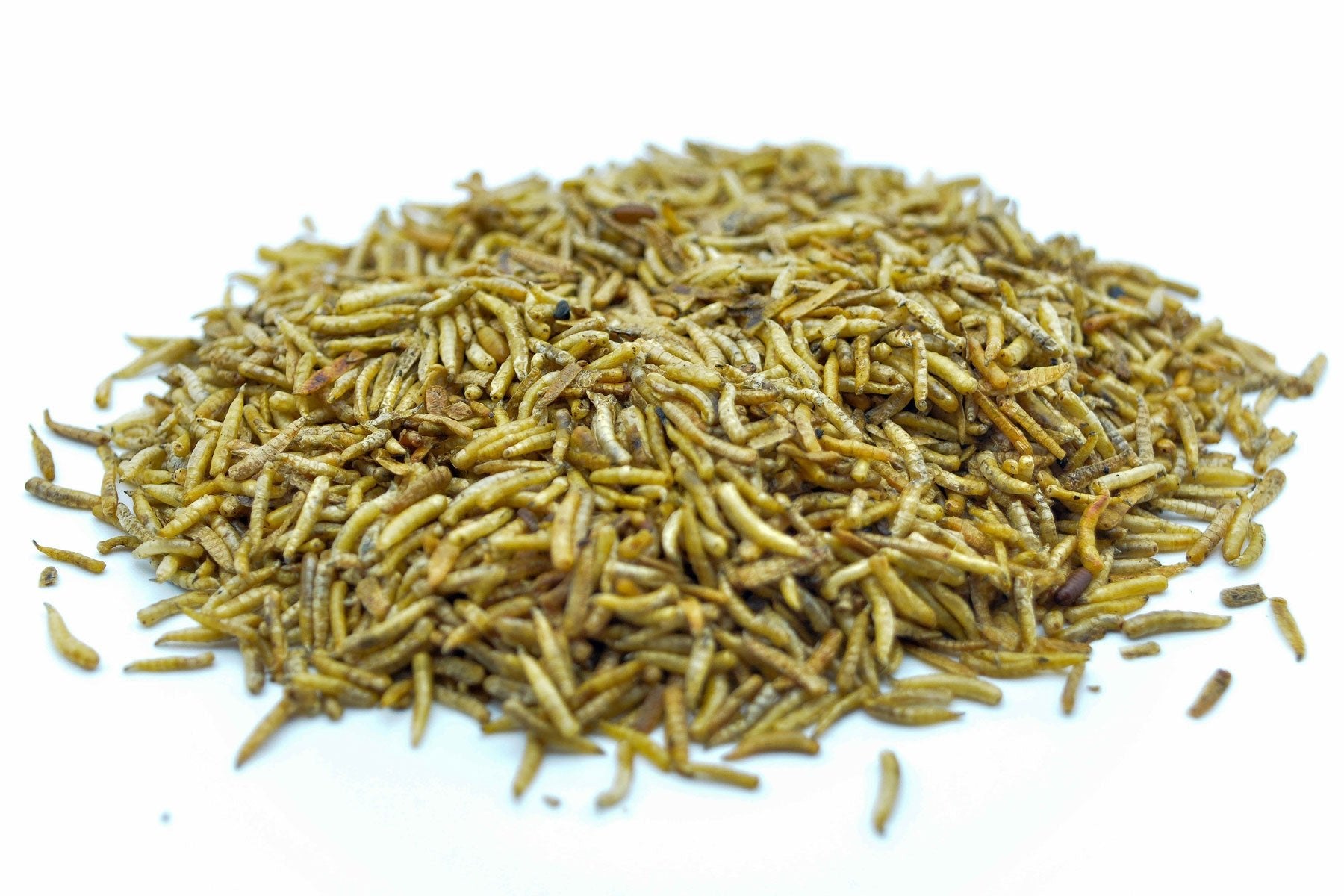 10 KG Fliegenlarven (Maden) getrocknet - futter - tiere.de