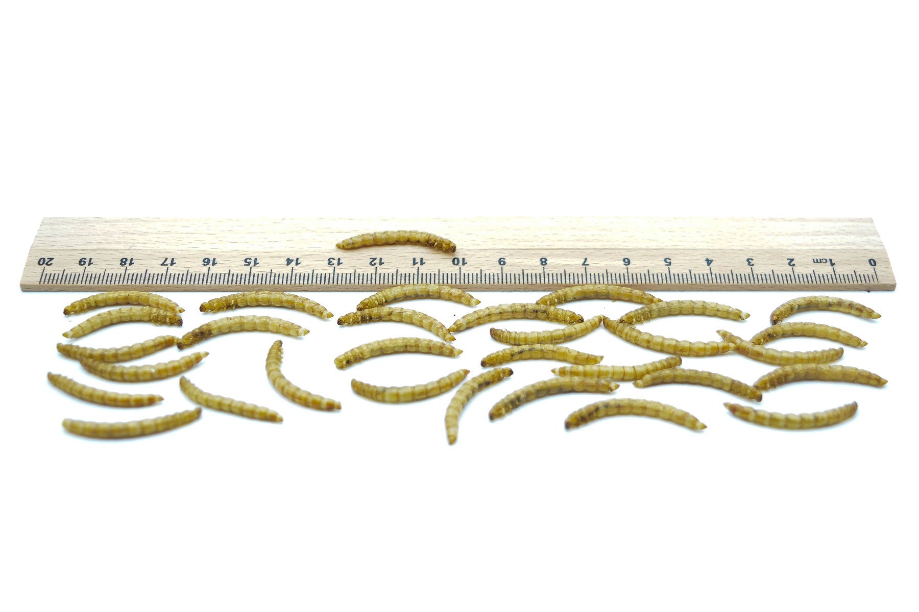 5 KG Mehlwürmer getrocknet - futter - tiere.de