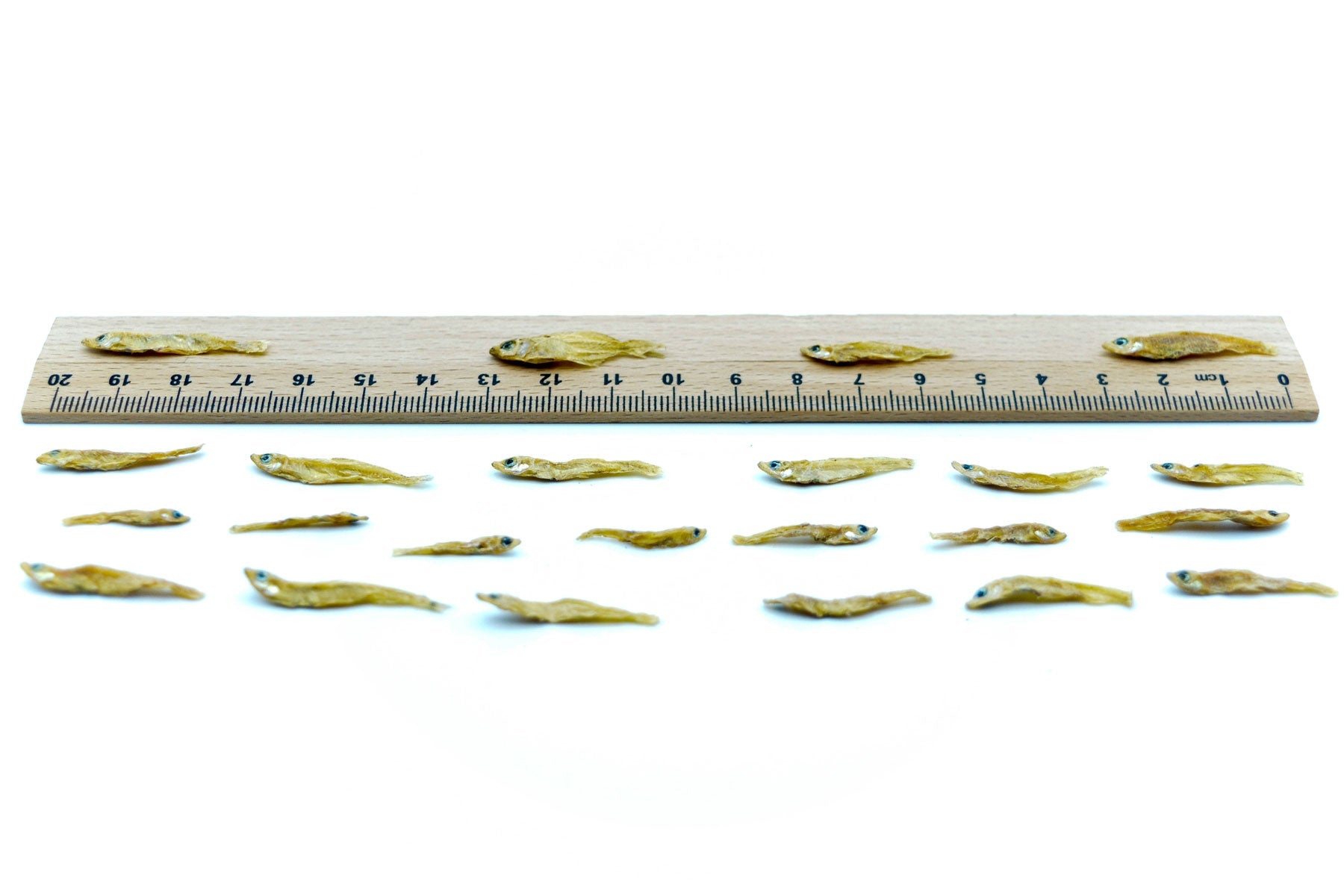 Fische 1-3 cm getrocknet 0,2 - 20 KG