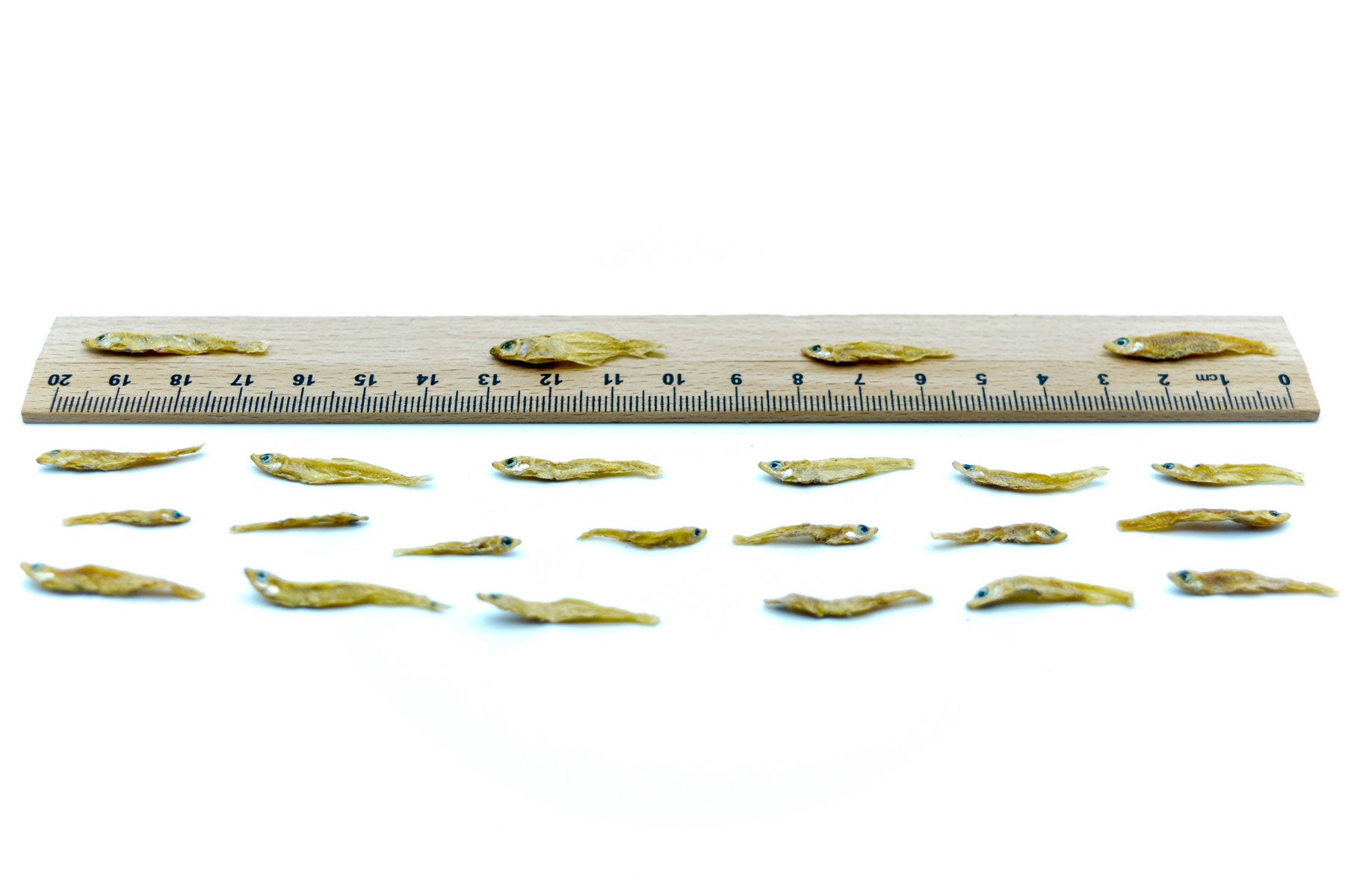 2 KG Fische 1-3 cm getrocknet