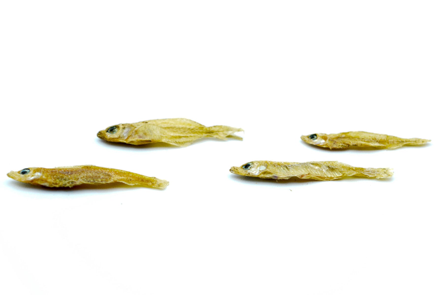 2 KG Fische 1-3 cm getrocknet