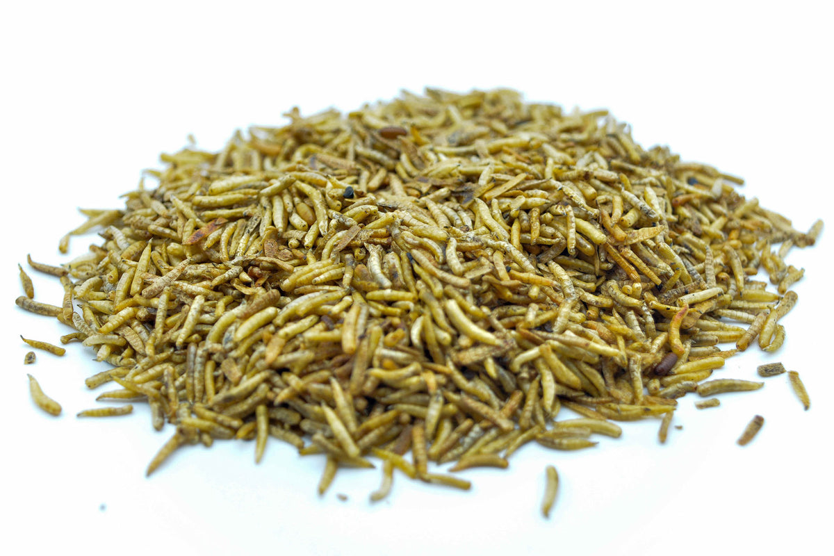 1 KG Fliegenlarven (Maden) getrocknet