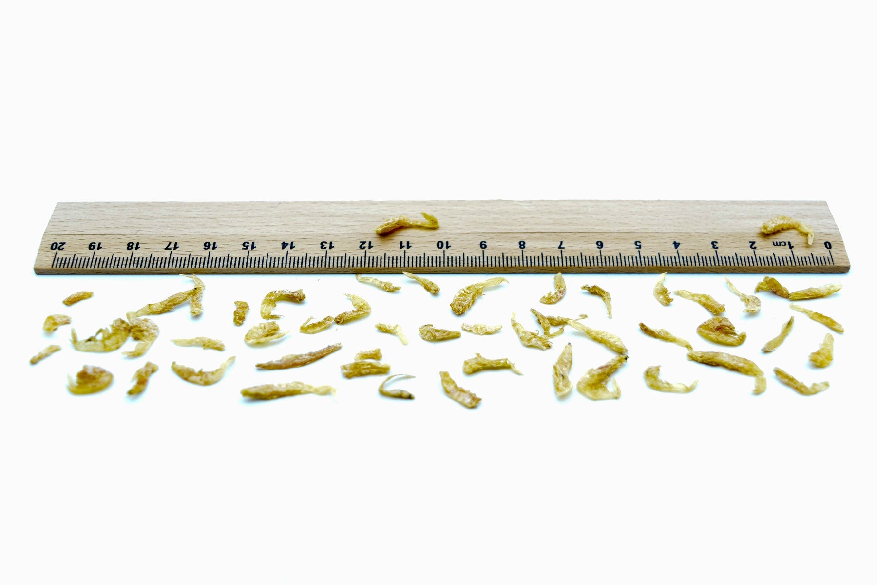Garnelen 1-2cm getrocknet (Shrimps) 0,2 - 20 KG